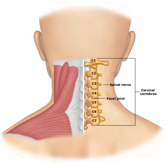 Neck Strain Local Physio